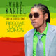 Reggae Love Songs - Vybz Kartel